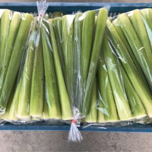 S__100737127 埔里茭白筍-1包