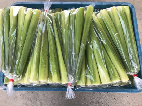 S__100737127 埔里茭白筍-1包