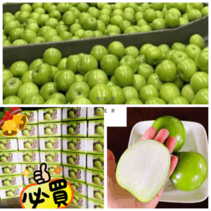 棗 珍愛蜜棗2入